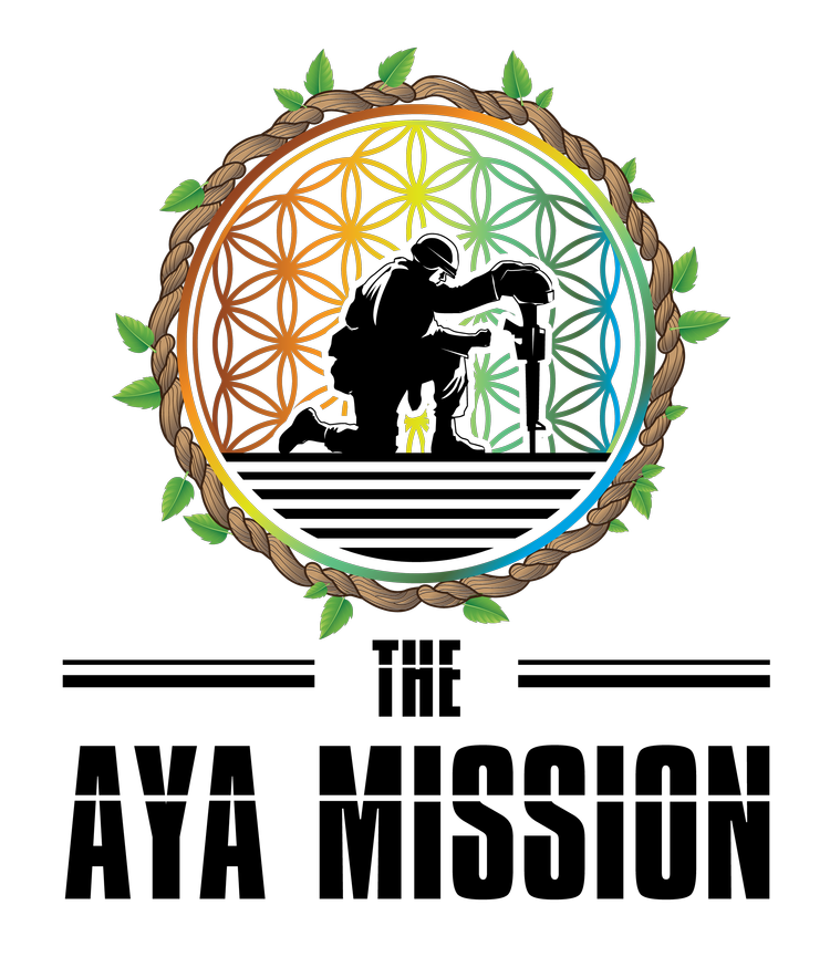 The Aya Mission — kneeling soldier within the flower of life